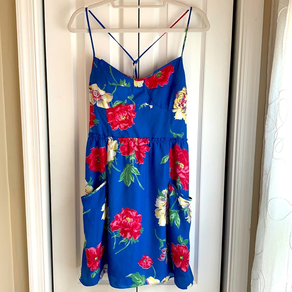 American Eagle Blue Floral Dress (L)